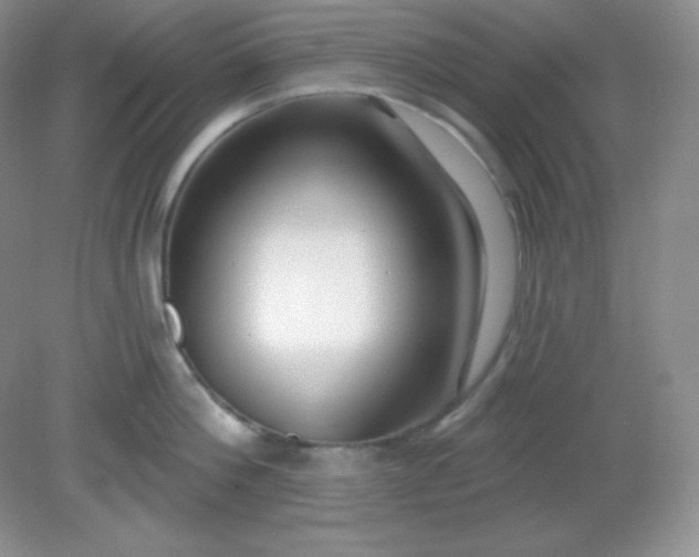 X0000081600812200701291400