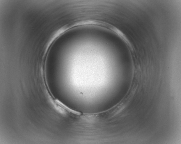 X0000081600813200701291400