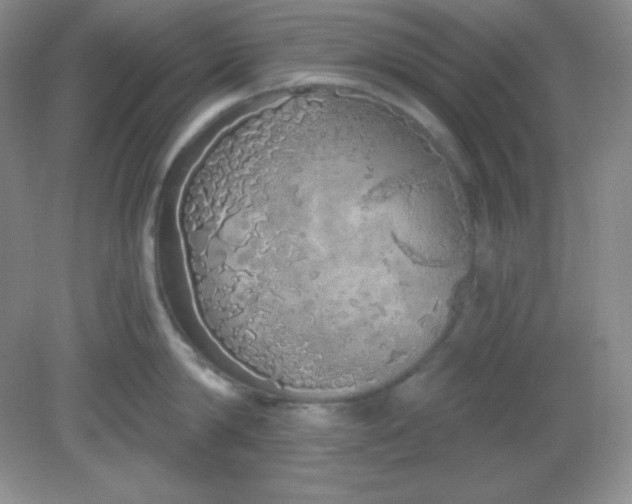 X0000081600814200701291359