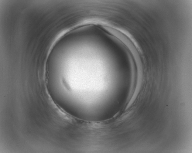 X0000081600815200701291359