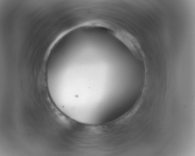 X0000081600816200701291359