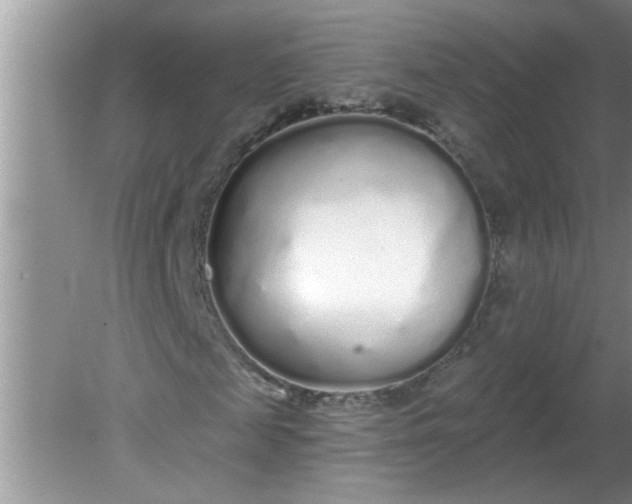 X0000081600817200701291359