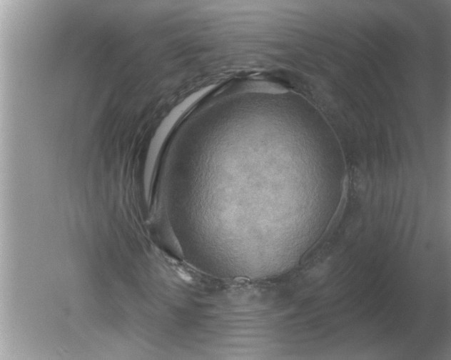 X0000081600818200701291359