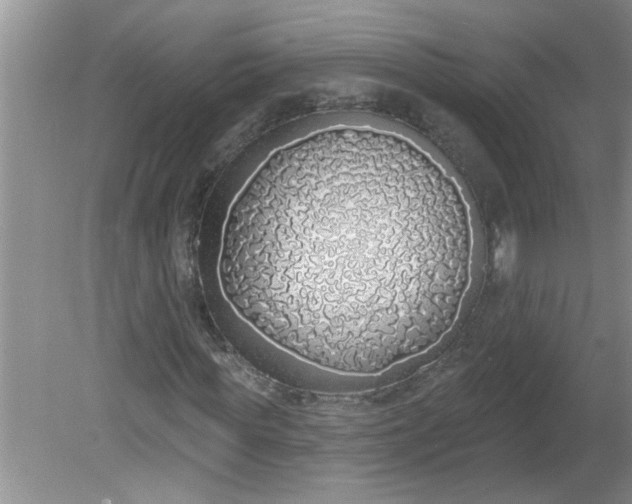 X0000081600819200701291359