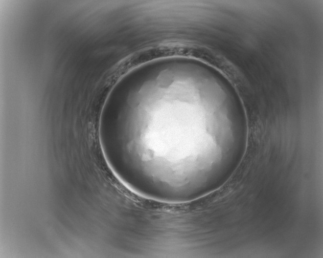 X0000081600821200701291359