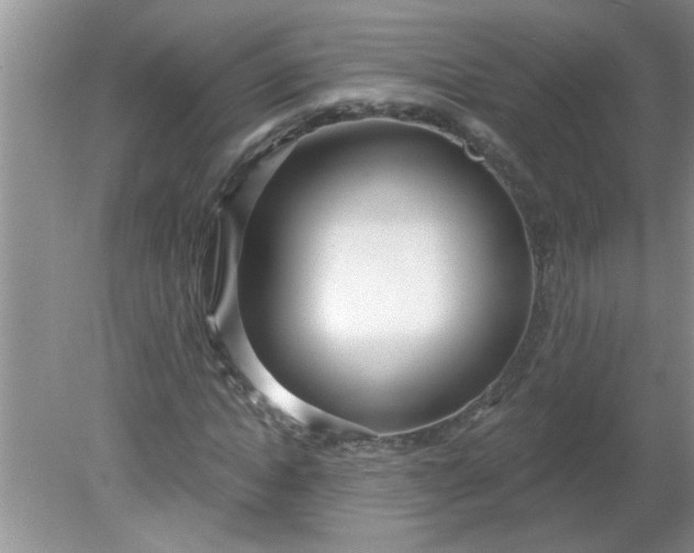 X0000081600822200701291359