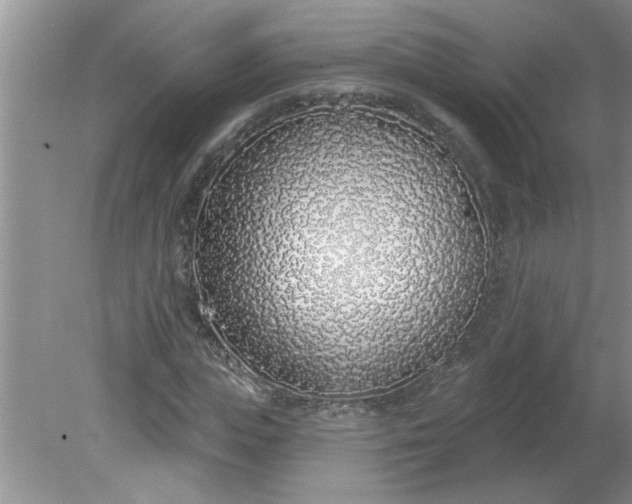 X0000081600823200701291359