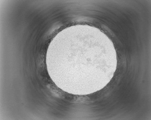 X0000081600824200701291359