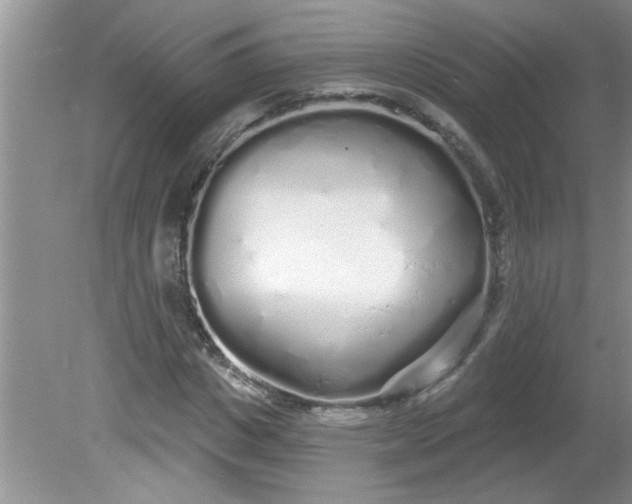 X0000081600825200701291359