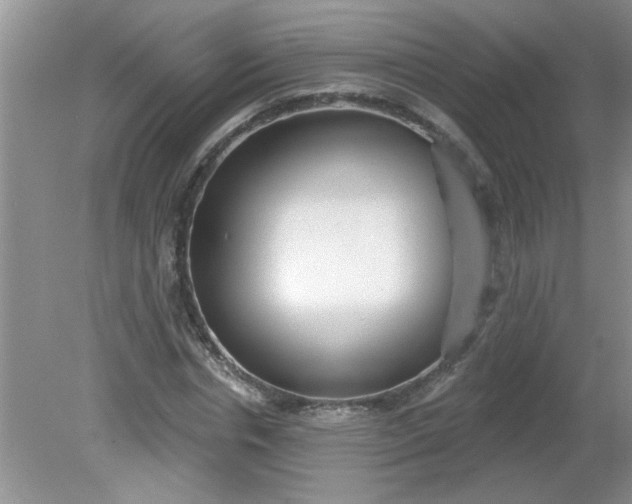 X0000081600826200701291359