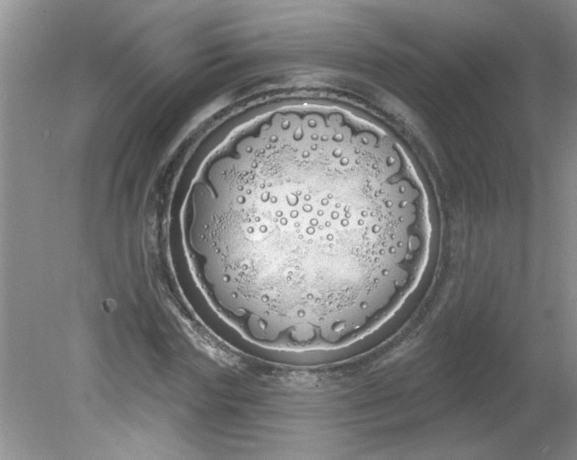 X0000081600827200701291359