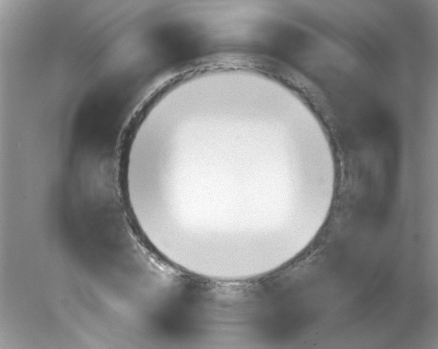 X0000081600828200701291359