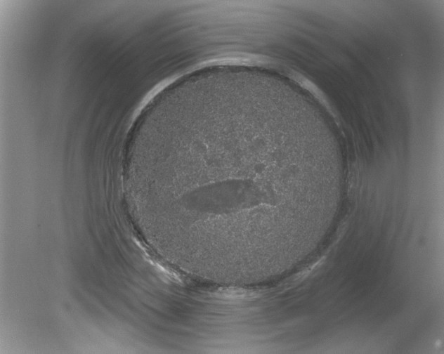 X0000081600829200701291359