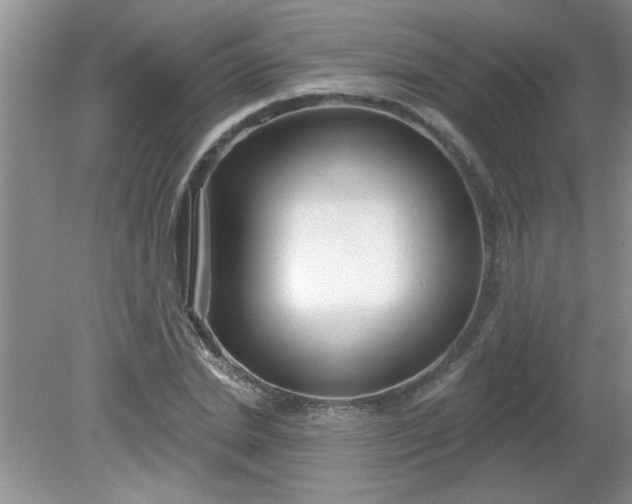 X0000081600830200701291359