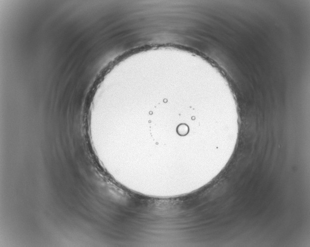 X0000081600832200701291359