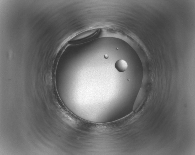 X0000081600834200701291359