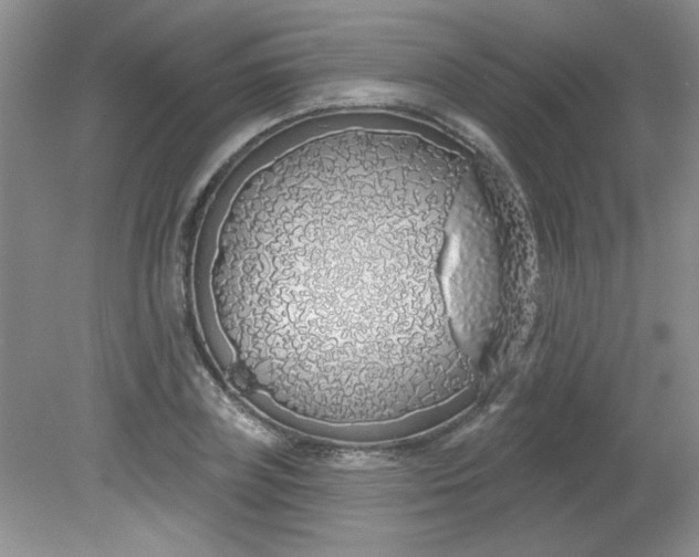 X0000081600835200701291359