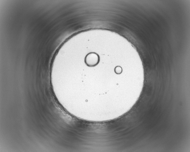 X0000081600836200701291359