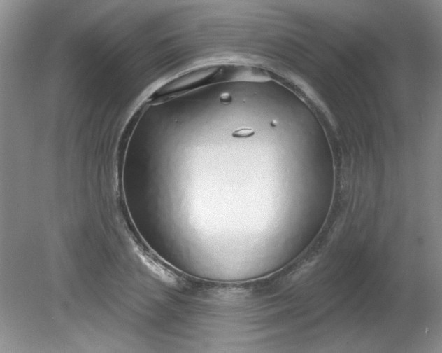 X0000081600837200701291359