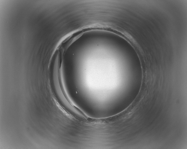 X0000081600838200701291359