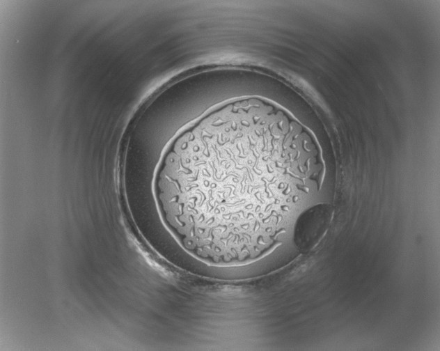 X0000081600839200701291359