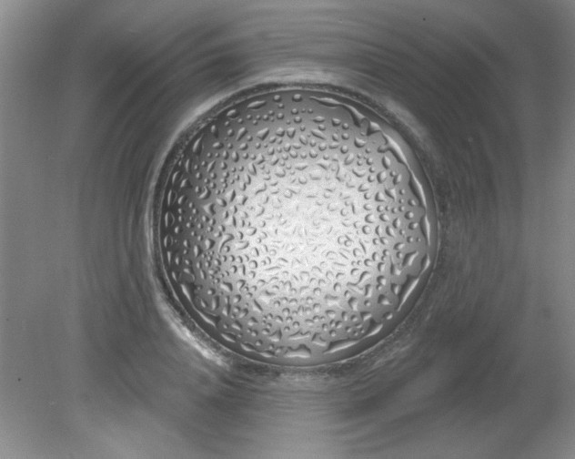 X0000081600840200701291359