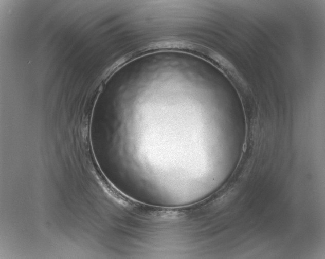 X0000081600841200701291359