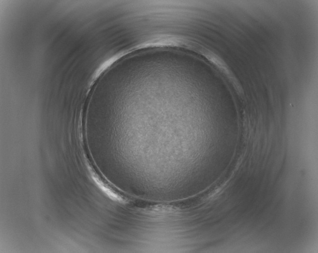 X0000081600842200701291359