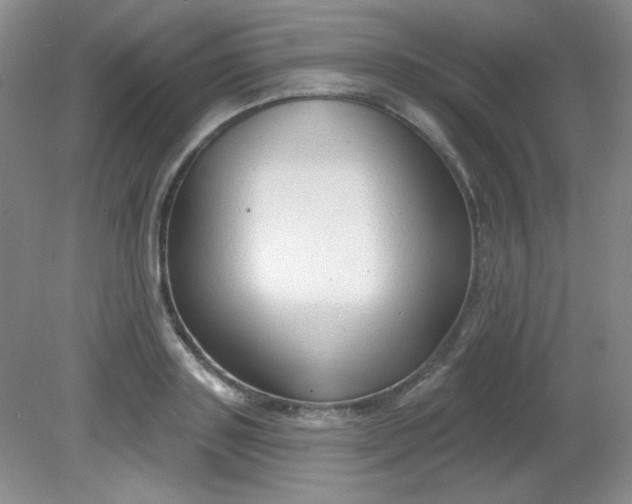 X0000081600843200701291359