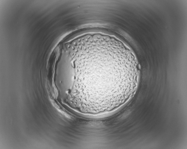 X0000081600844200701291359