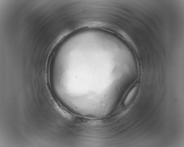 X0000081600845200701291359