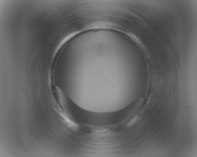 X0000081600846200701291359