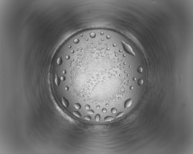 X0000081600847200701291359