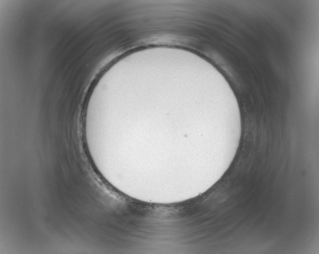 X0000081600848200701291359