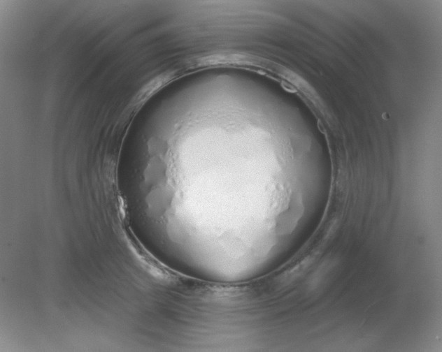 X0000081600849200701291359