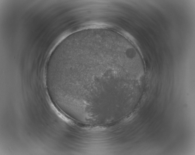 X0000081600851200701291359