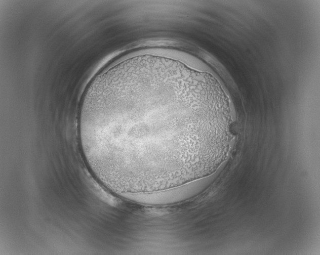 X0000081600852200701291359