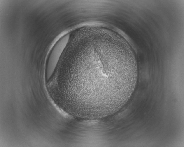 X0000081600853200701291359