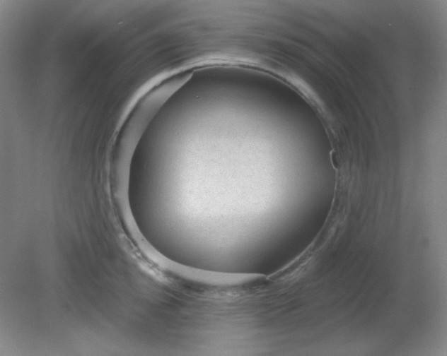 X0000081600854200701291359