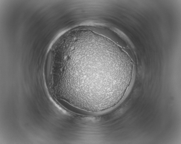 X0000081600855200701291359