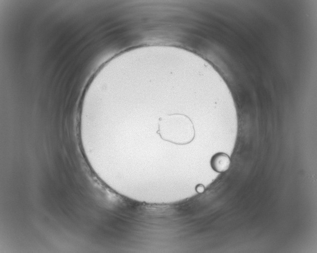 X0000081600856200701291359