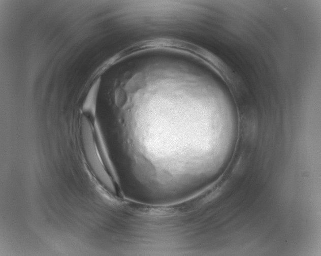 X0000081600857200701291359