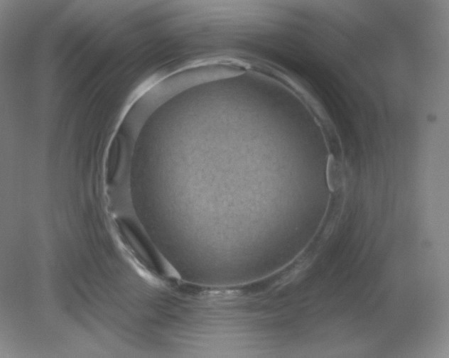 X0000081600858200701291359