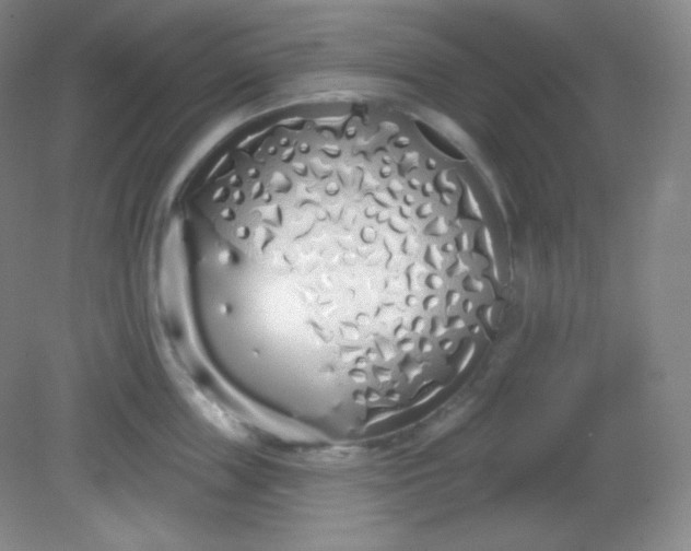 X0000081600859200701291359