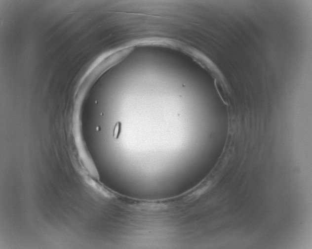 X0000081600860200701291359