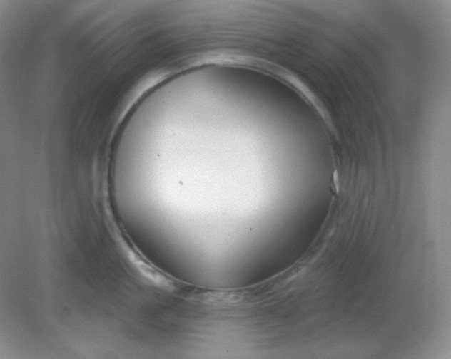 X0000081600861200701291359