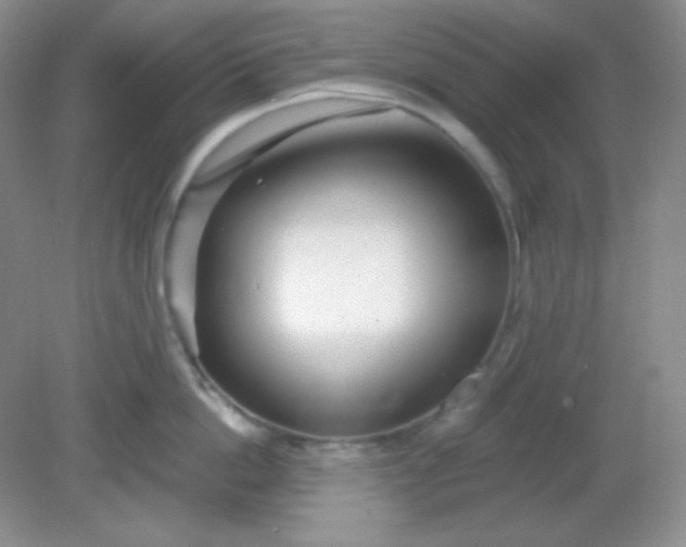 X0000081600862200701291359