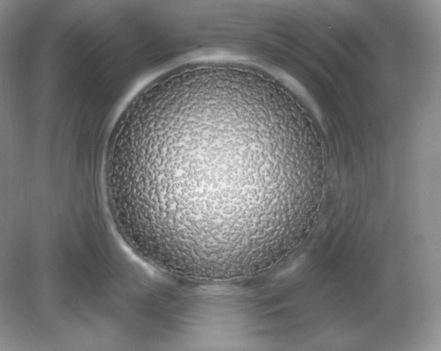 X0000081600863200701291359