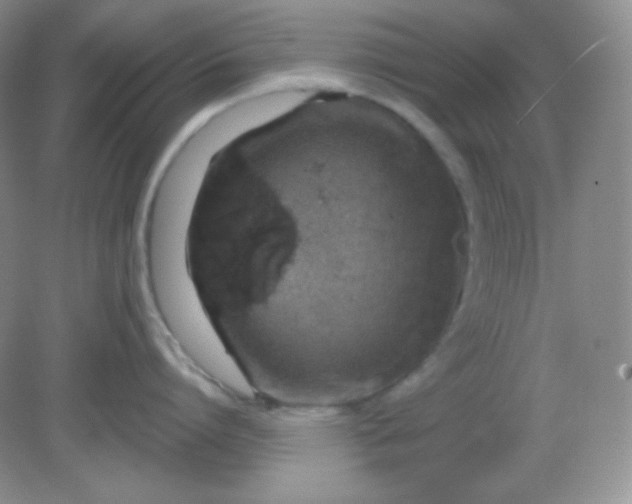 X0000081600864200701291359