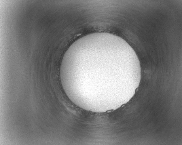 X0000081600865200701291359